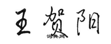 骆恒光王贺阳行书个性签名怎么写