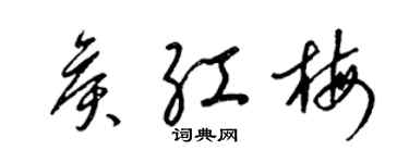 梁锦英侯红梅草书个性签名怎么写