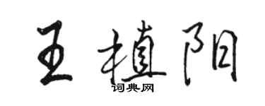 骆恒光王植阳行书个性签名怎么写
