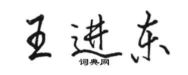 骆恒光王进东行书个性签名怎么写