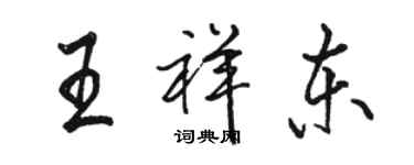 骆恒光王祥东行书个性签名怎么写