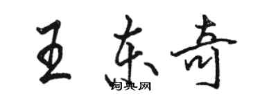 骆恒光王东奇行书个性签名怎么写