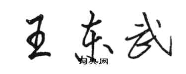 骆恒光王东武行书个性签名怎么写