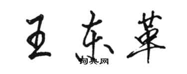 骆恒光王东革行书个性签名怎么写