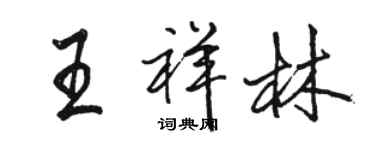 骆恒光王祥林行书个性签名怎么写