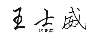 骆恒光王士威行书个性签名怎么写