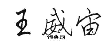 骆恒光王威宙行书个性签名怎么写
