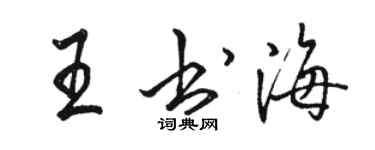 骆恒光王书海行书个性签名怎么写