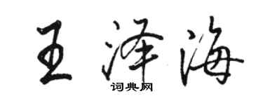 骆恒光王泽海行书个性签名怎么写