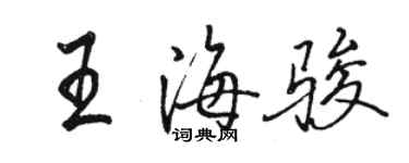骆恒光王海骏行书个性签名怎么写