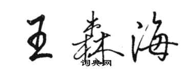 骆恒光王森海行书个性签名怎么写