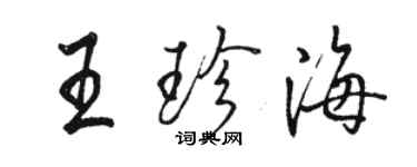 骆恒光王珍海行书个性签名怎么写