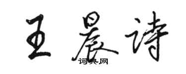骆恒光王晨诗行书个性签名怎么写