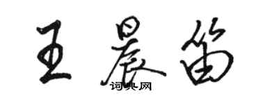 骆恒光王晨笛行书个性签名怎么写