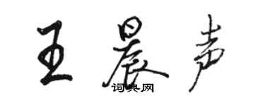 骆恒光王晨声行书个性签名怎么写