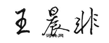 骆恒光王晨非行书个性签名怎么写