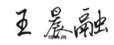 骆恒光王晨融行书个性签名怎么写