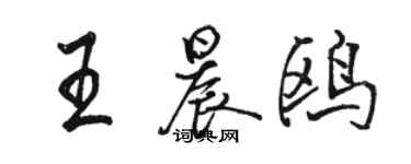 骆恒光王晨鸥行书个性签名怎么写