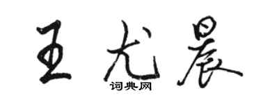 骆恒光王尤晨行书个性签名怎么写