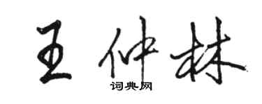 骆恒光王仲林行书个性签名怎么写
