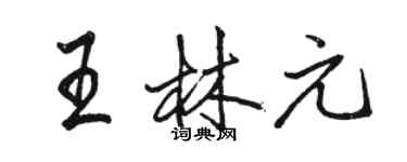 骆恒光王林元行书个性签名怎么写