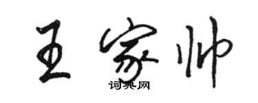 骆恒光王家帅行书个性签名怎么写