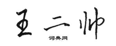 骆恒光王二帅行书个性签名怎么写