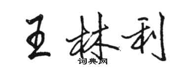 骆恒光王林利行书个性签名怎么写