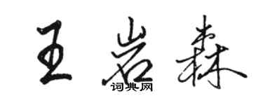 骆恒光王岩森行书个性签名怎么写