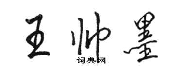 骆恒光王帅墨行书个性签名怎么写