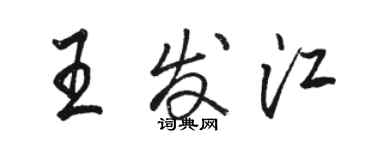 骆恒光王发江行书个性签名怎么写
