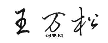 骆恒光王万松行书个性签名怎么写