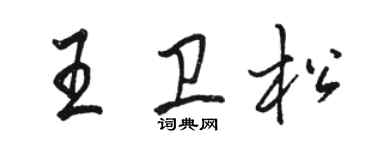 骆恒光王卫松行书个性签名怎么写