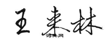 骆恒光王来林行书个性签名怎么写