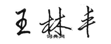 骆恒光王林丰行书个性签名怎么写