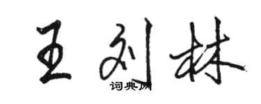骆恒光王刘林行书个性签名怎么写