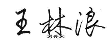 骆恒光王林浪行书个性签名怎么写