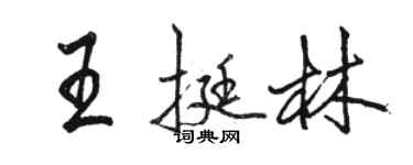 骆恒光王挺林行书个性签名怎么写