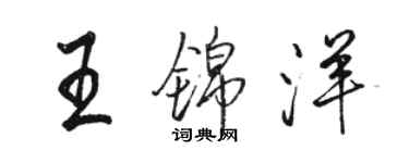 骆恒光王锦洋行书个性签名怎么写