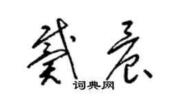 梁锦英戴晨草书个性签名怎么写