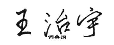 骆恒光王治宇行书个性签名怎么写