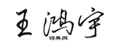 骆恒光王鸿宇行书个性签名怎么写