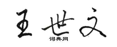骆恒光王世文行书个性签名怎么写