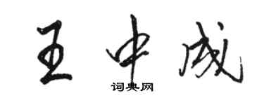 骆恒光王中成行书个性签名怎么写