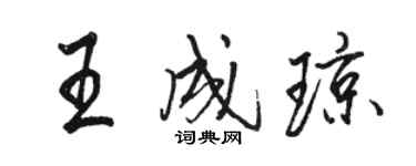 骆恒光王成琼行书个性签名怎么写