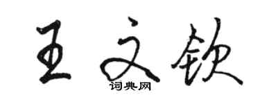 骆恒光王文钦行书个性签名怎么写