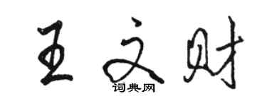 骆恒光王文财行书个性签名怎么写