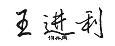 骆恒光王进利行书个性签名怎么写