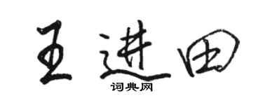 骆恒光王进田行书个性签名怎么写