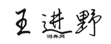 骆恒光王进野行书个性签名怎么写